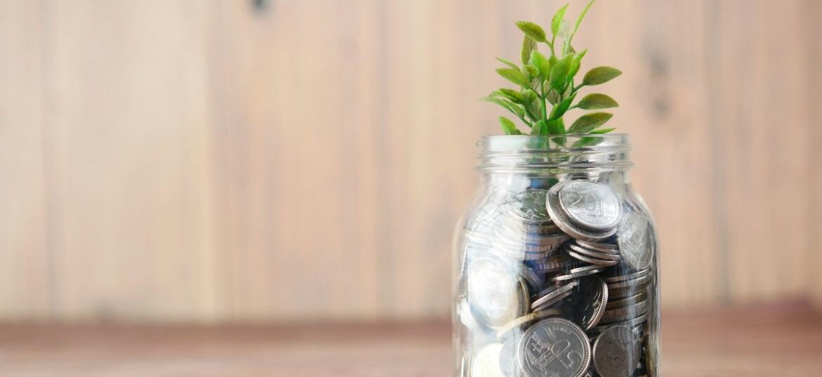 硬币罐与植物 自管养老金 SMSF
