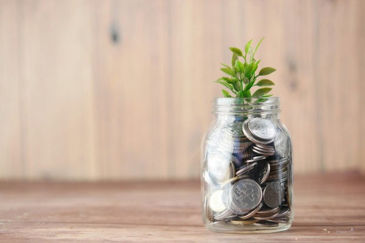 硬币罐与植物 自管养老金 SMSF
